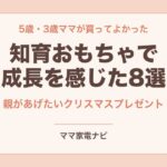 知育おもちゃで成長を感じた8選 親があげたいクリスマスプレゼント
