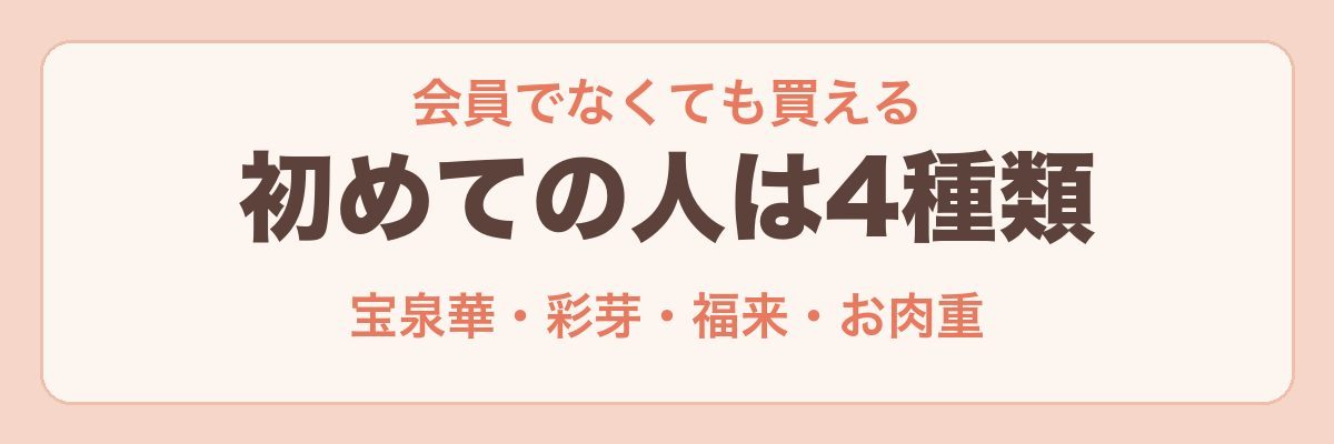 初めてでも買える大地を守る会のおせち