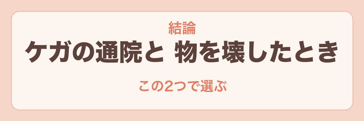 子どもの共済の結論